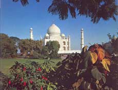 The Taj Mahal