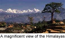 The Himalayas